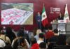 La Ciudad de los Seres Sintientes tendrá su propio Semefo veterinario — y el lirio de Valsequillo podría volverse adoquín La Ciudad de los Seres Sintientes tendrá su propio Semefo veterinario — y el lirio de Valsequillo podría volverse adoquín