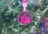Latido Rosa: carrera nocturna de 4 y 8 km el 24 de octubre — lo que pagues de inscripción se va a equipo para detectar cáncer Latido Rosa: carrera nocturna de 4 y 8 km el 24 de octubre — lo que pagues de inscripción se va a equipo para detectar cáncer