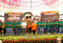 Hace 16 años Atlixco producía 5 mil macetas de cempasúchil — hoy son 2.5 millones Hace 16 años Atlixco producía 5 mil macetas de cempasúchil — hoy son 2.5 millones